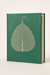 Handmade green Lokta notebook with real Bodhi leaf design, crafted from tree-free Nepali paper.