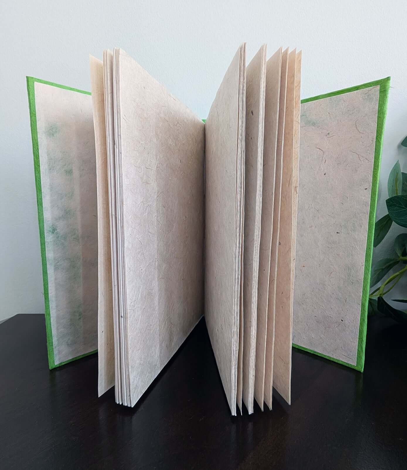 An inner view of a handmade A5 Lokta notebook with a solid green cover, standing upright on a dark wooden surface.