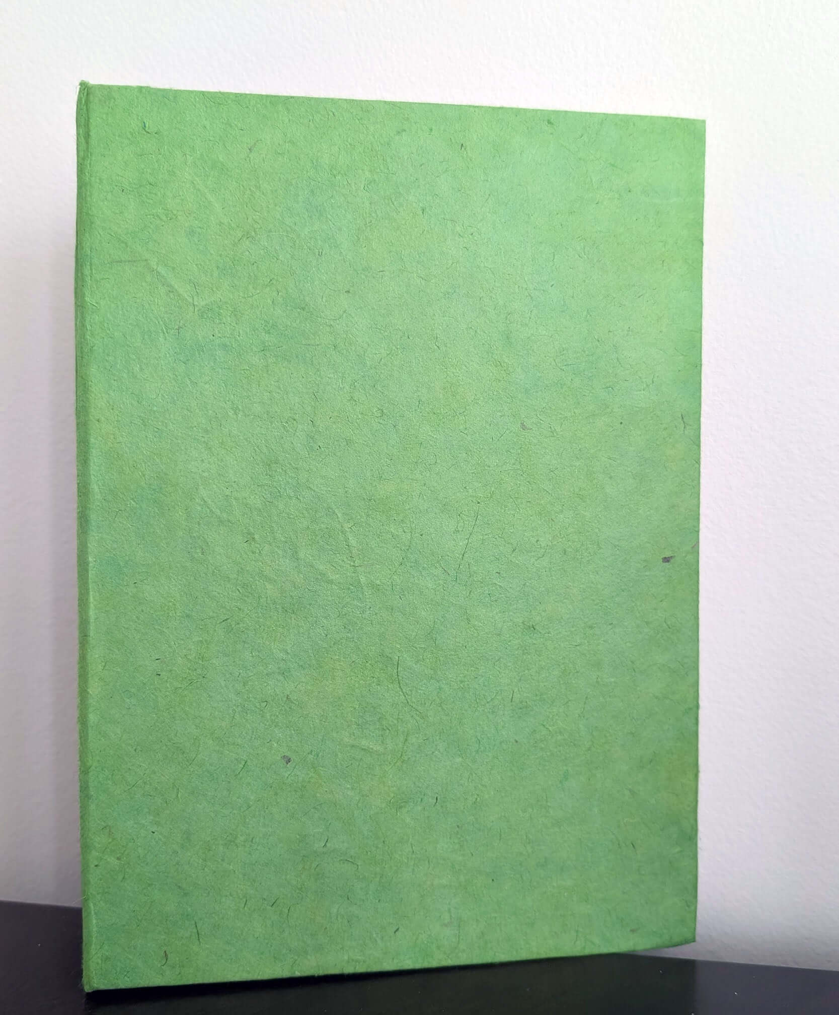 A handmade A5 Lokta notebook with a solid green cover, standing upright on a dark wooden surface.